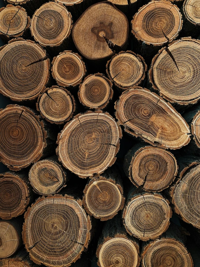 brown wooden logs in close up photography